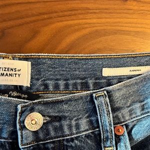 Citizens of Humanity Annina High Rise Wide Leg Jeans in Pinnacle (30” inseam)